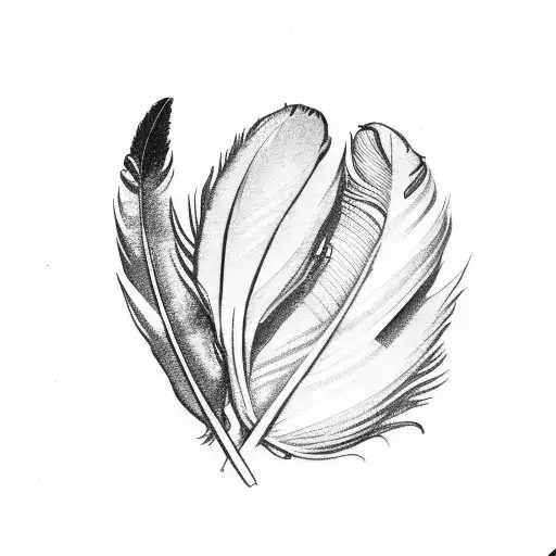 Feather Pen Ink