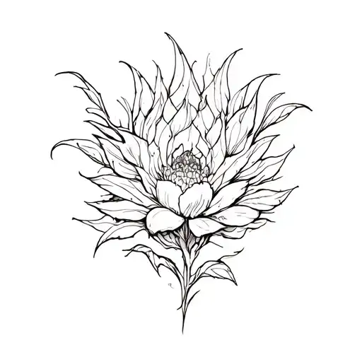 Fine Line Tattoo Black And White Pyrhurra Molinae