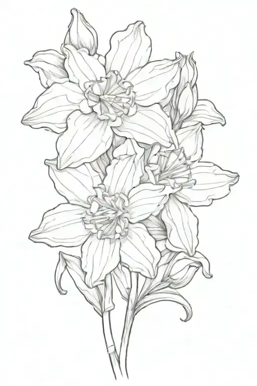 Carnation Daffodil Daisy Flowers