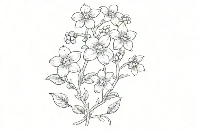 Forget-me-not Flower Vine