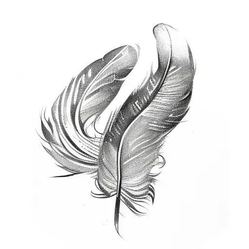 Colourful Feather And Letter Never Give Up In Black Colour