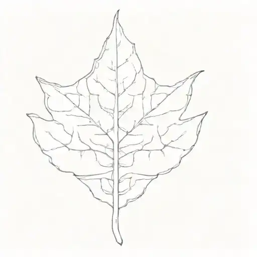 A Leaf