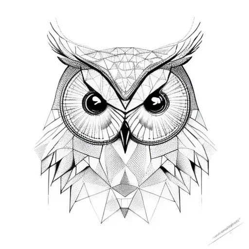 Owl With Geometry