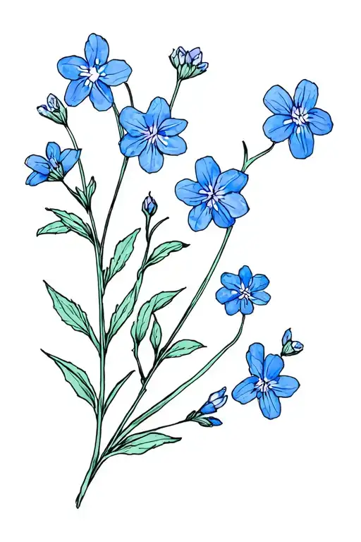 Forget -Me -Not