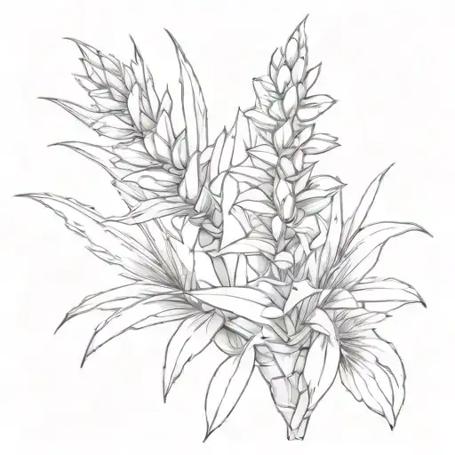 Yucca Plant