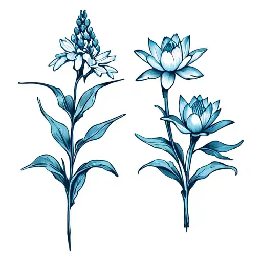 Larkspur And Water Lily Side By Side With Crossing Stems