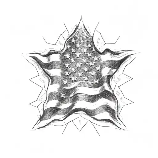 13 Star American Flag