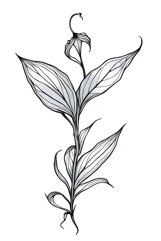 Carnivorous Plant With Geometric