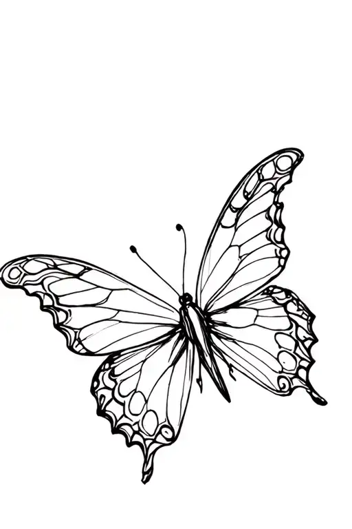 Butterfly