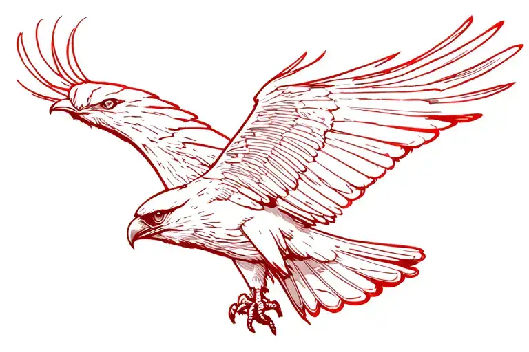 Red Tailed Hawk Flying In Black And Red