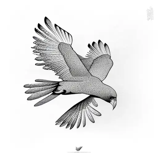 Freedom Birds Flying