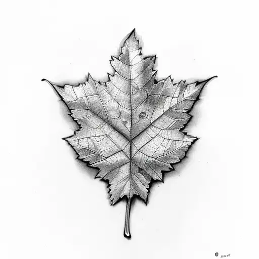 Grape Leaf