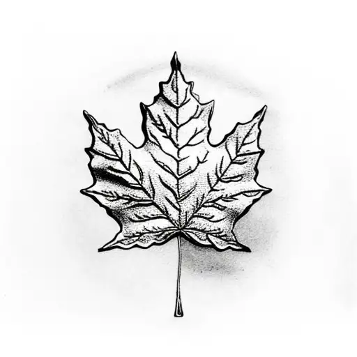 Maple Leaf With Marsh Scenery