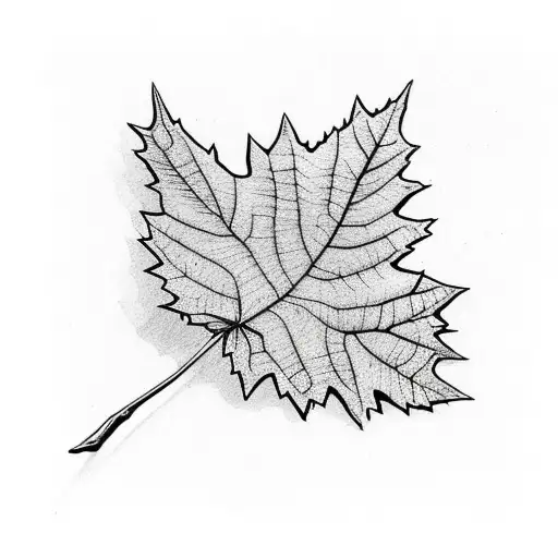 Maple Leaf Outline Marsh Scenery Inside