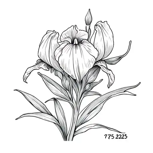 Iris Flower With Date 17 05 2025 Inside
