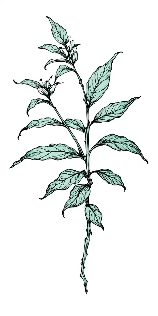 Plant