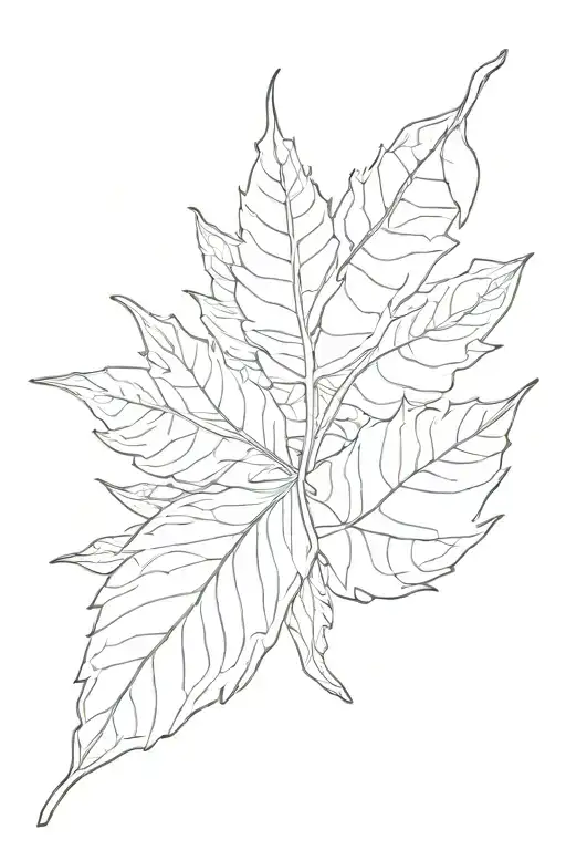 Leaf Transforming
