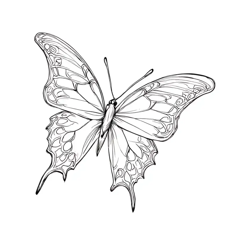 Butterfly