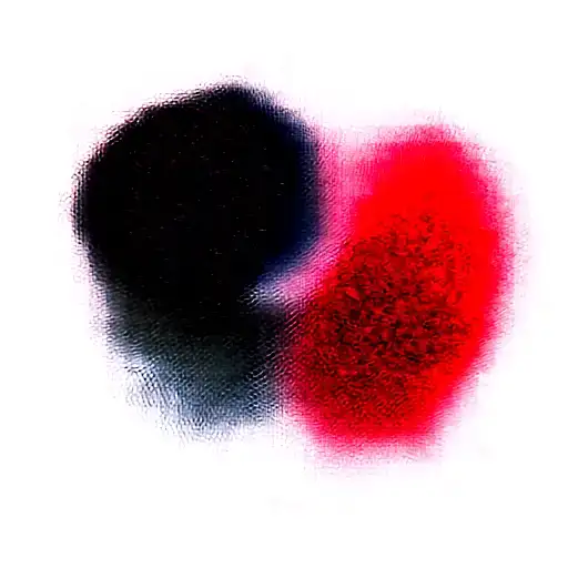 Two Rose Wrapped One Black One Red