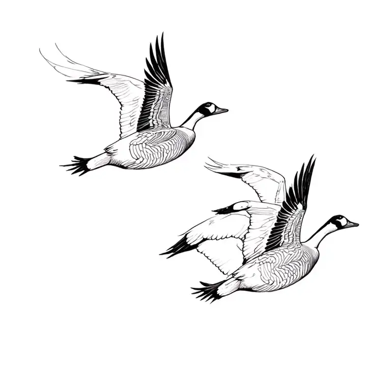 Geese Flying In Formation