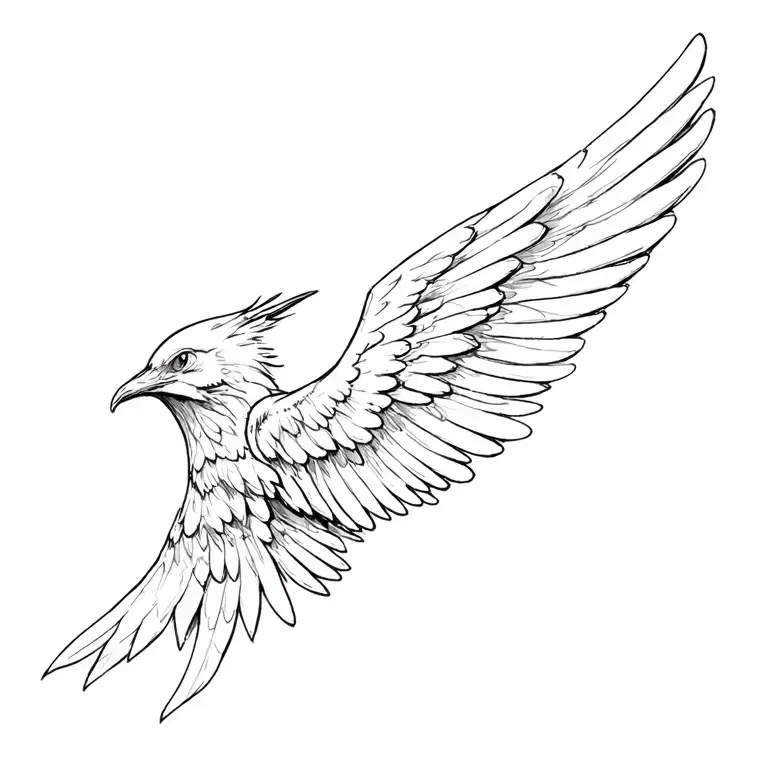 Single Angle Wing Spread