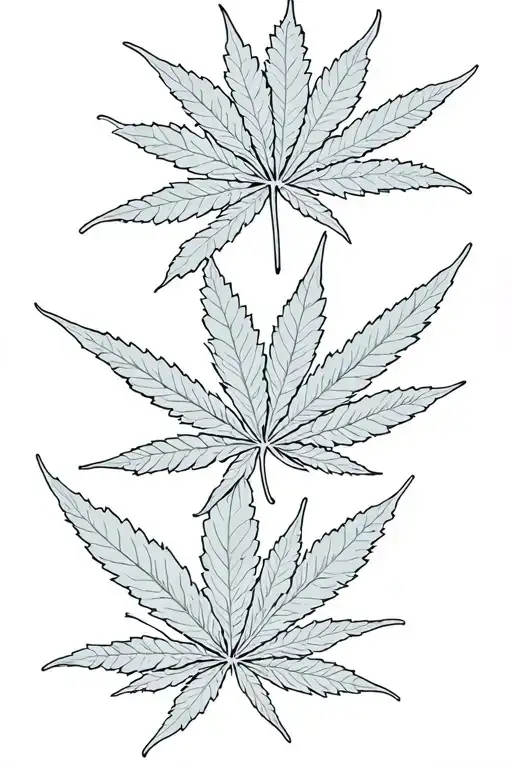 Cannabis Leaves
