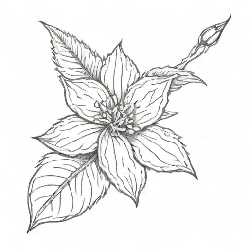 One Small Caranation Flower With A Red Outling Bandge