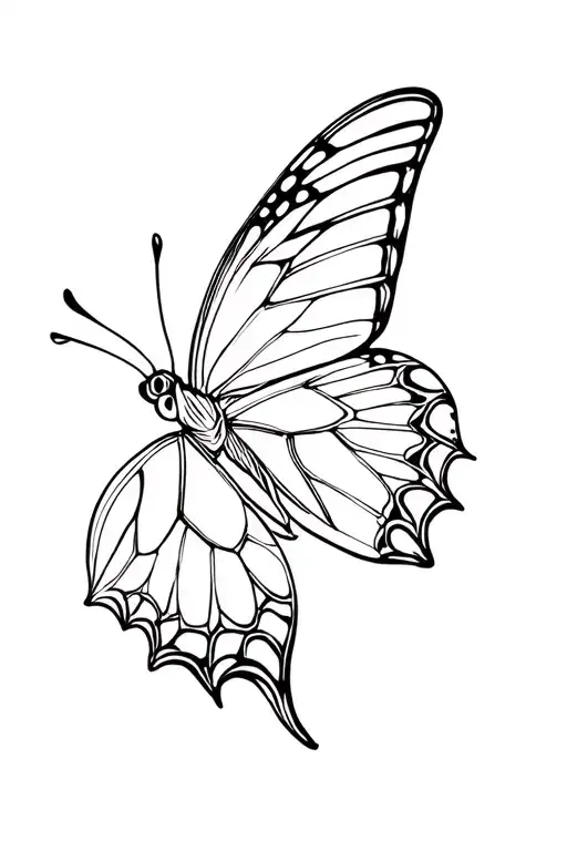 Butterfly