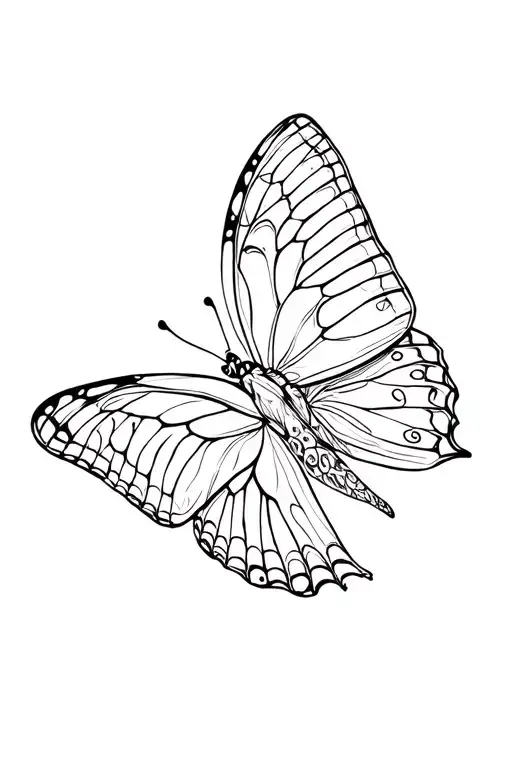 Butterfly