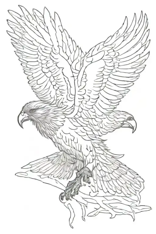 Condor Flying