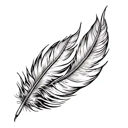 Black And White Feathers Curved