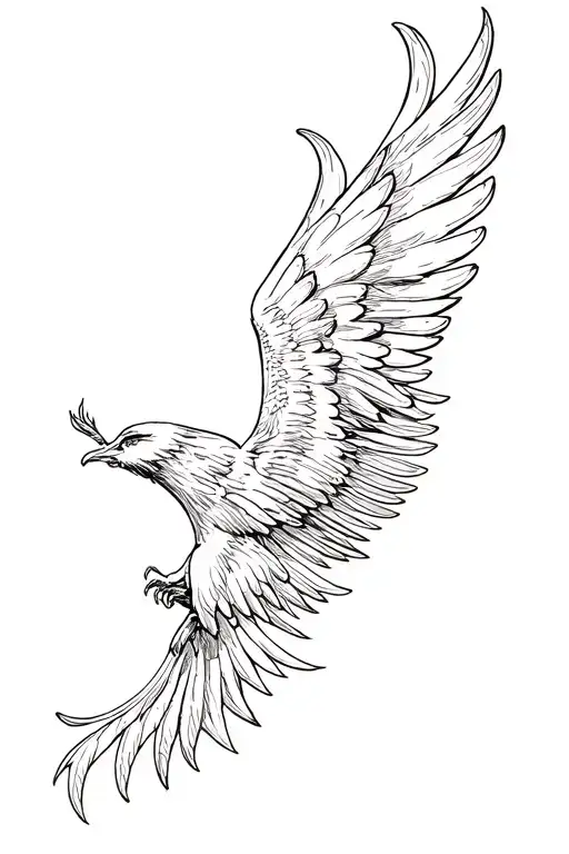 Words Written With Wings Flying