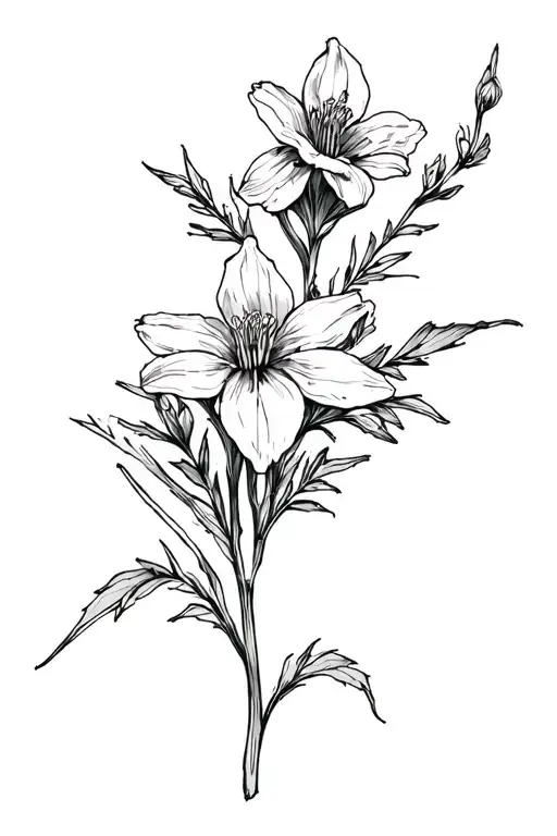 Rocky Mountain Columbine Flowers