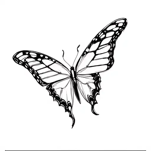 Monarch Butterfly