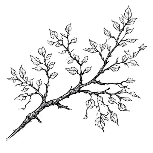 Branch
