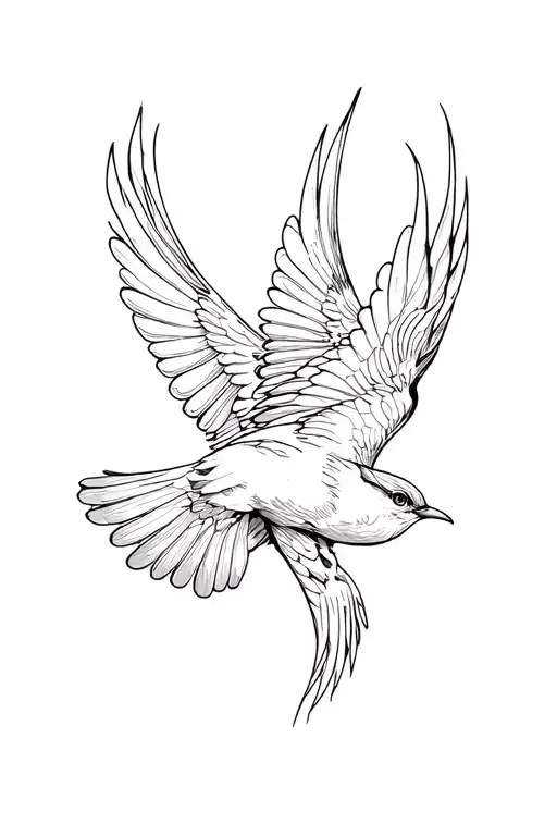 Overhead View Of Bird Soaring