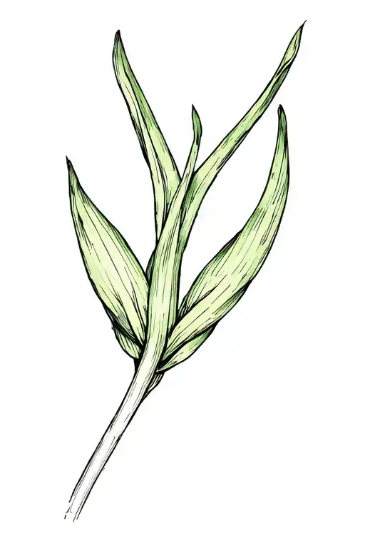Small Leek