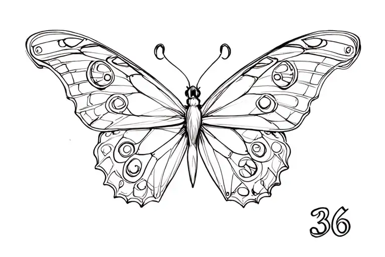 Butterfly And Number 36 Together