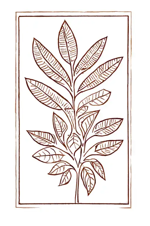 Bantu People Of Southern Africa Language Symbols Representing Growth