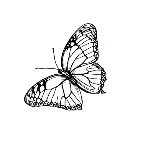 Simple Butterfly
