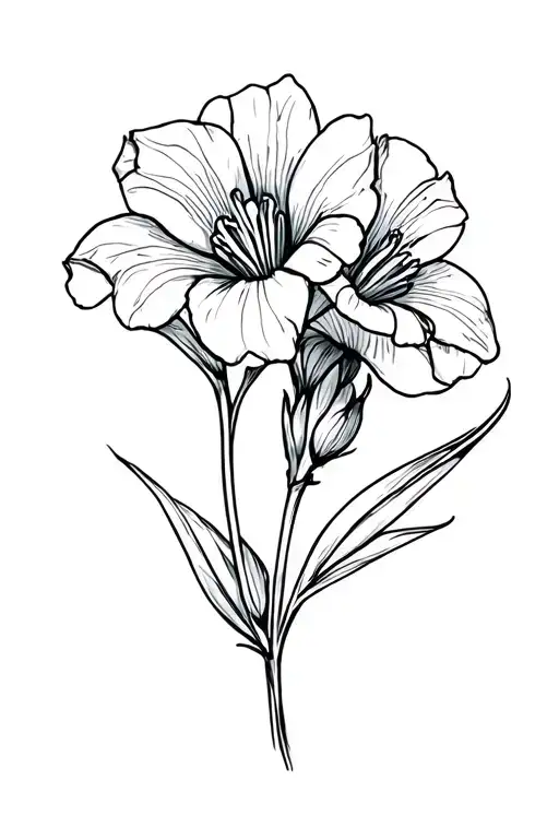 Freesia Flower
