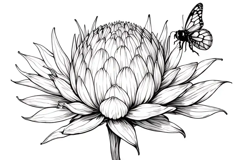 Protea Flower And Bee And Butterfly With Honeycomb