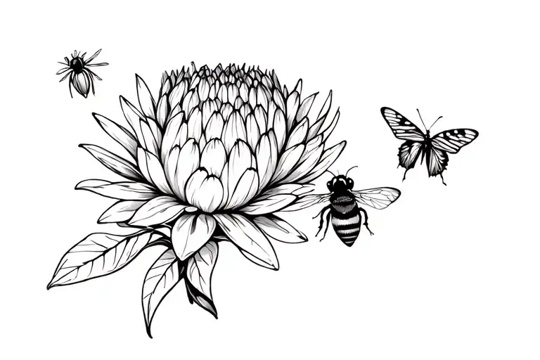 Protea Flower And Bee And Butterfly With Honeycomb