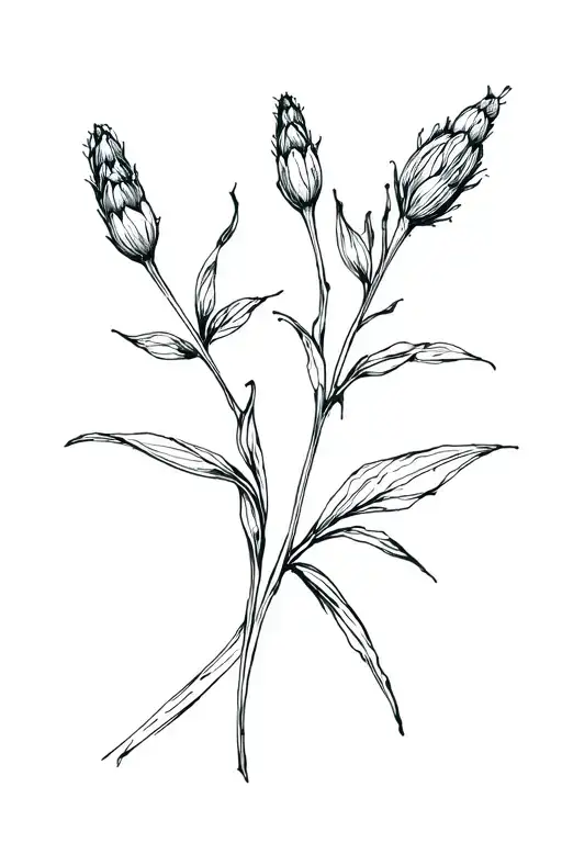 Two Delicate Buds And Thin Lines All Over The Arm