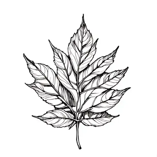 Leaf