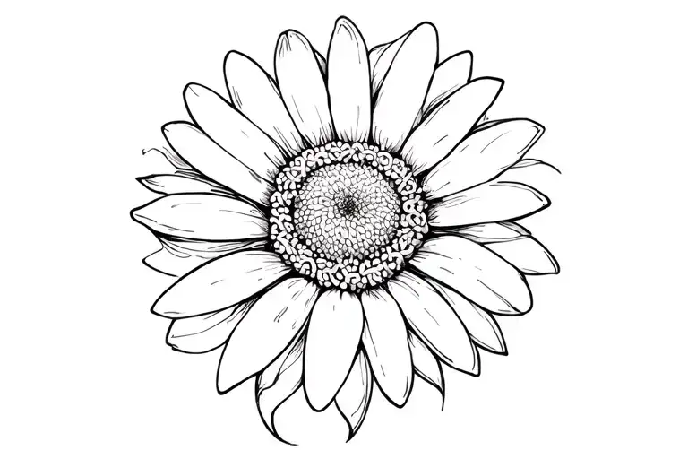 Celtic Daisy Blooming