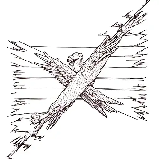 Rebel Flag Cut Diagonally Coming Outside Lsd Dmt