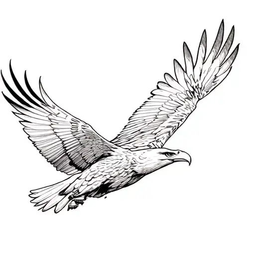 Bald Eagle Flying