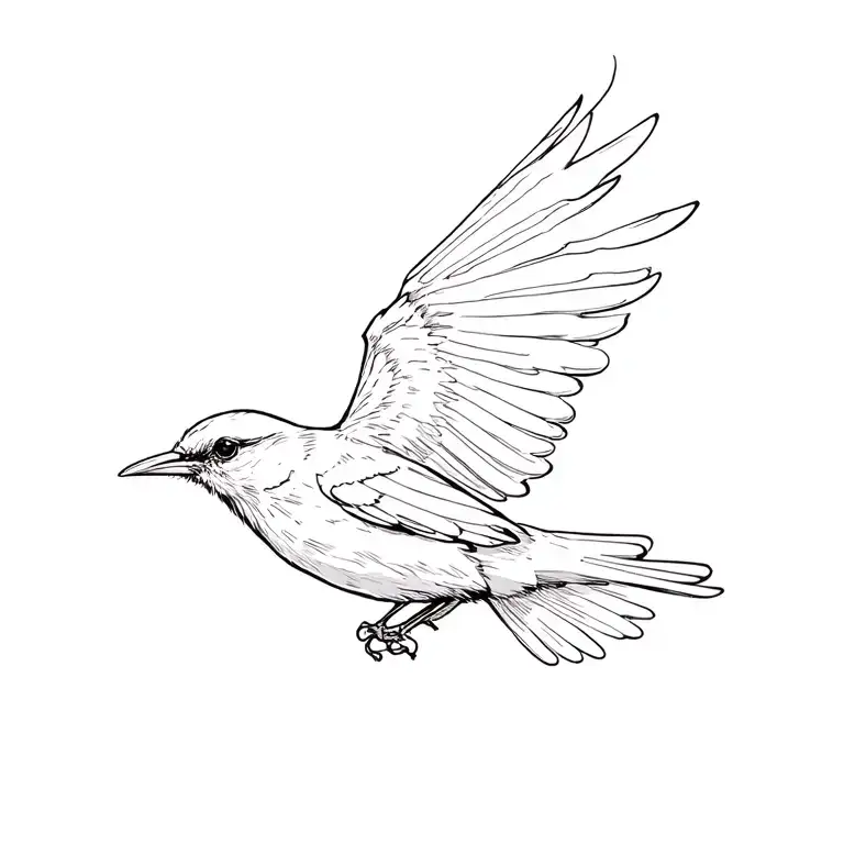 Blackbird Flying At Night