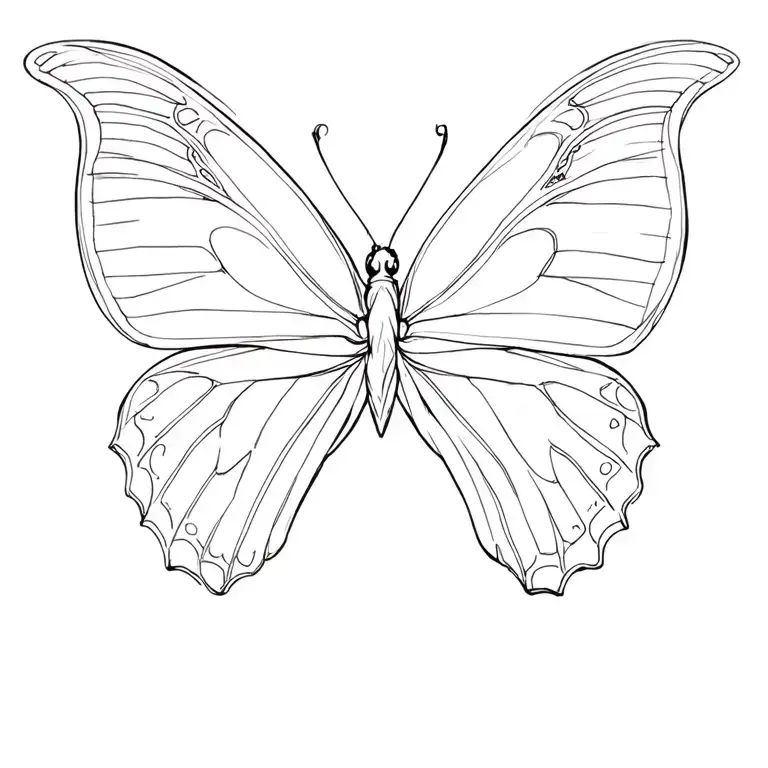 Butterfly